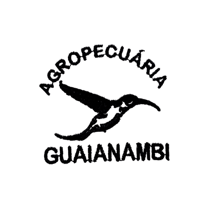 Fábio Stefanelo – Consultoria