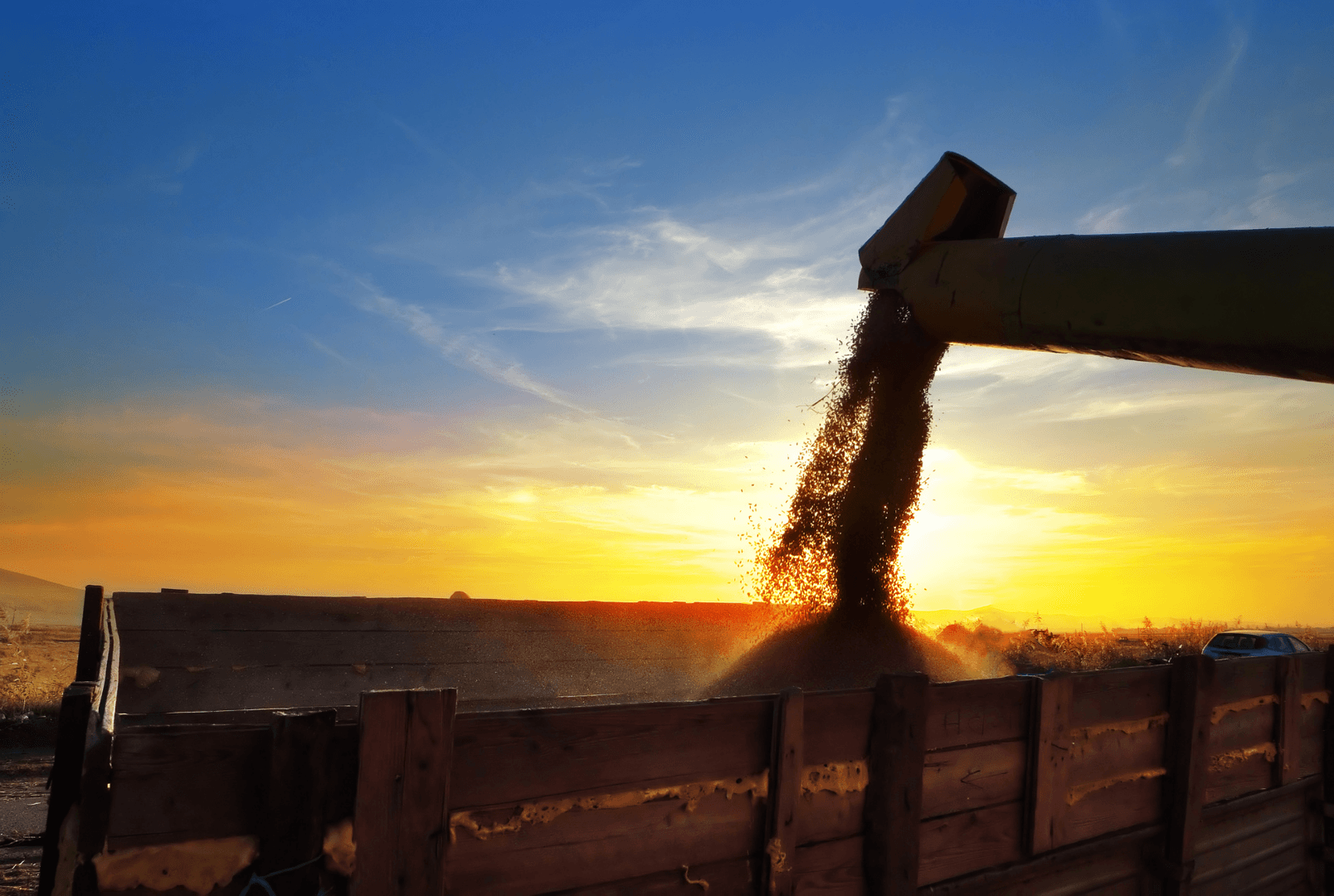 Dia Mundial da Agricultura