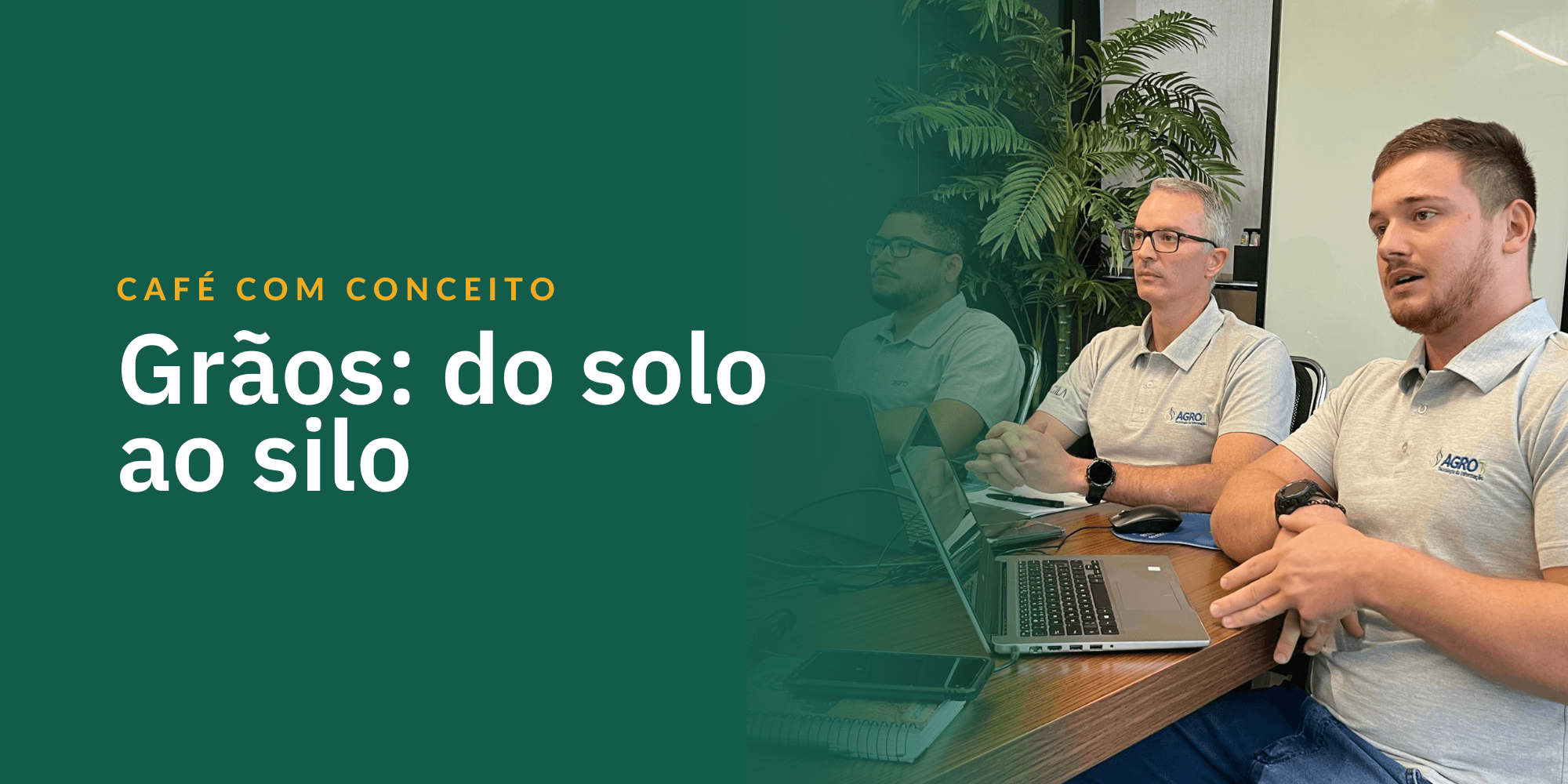Grãos: do solo ao silo
