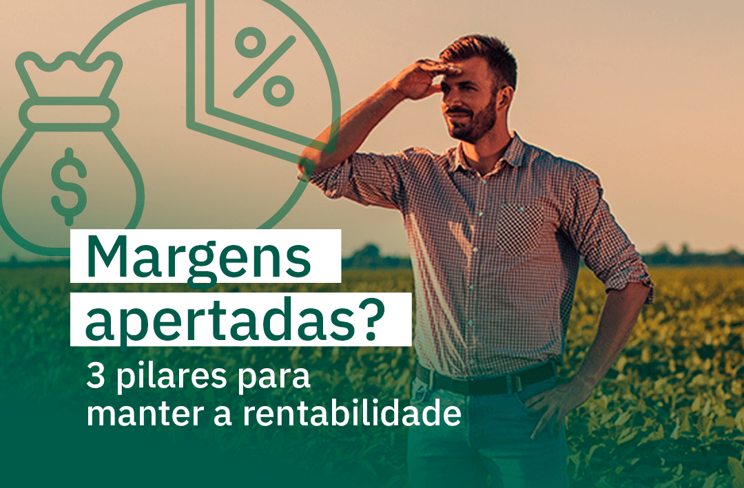 Estratégias para Manter a Rentabilidade
