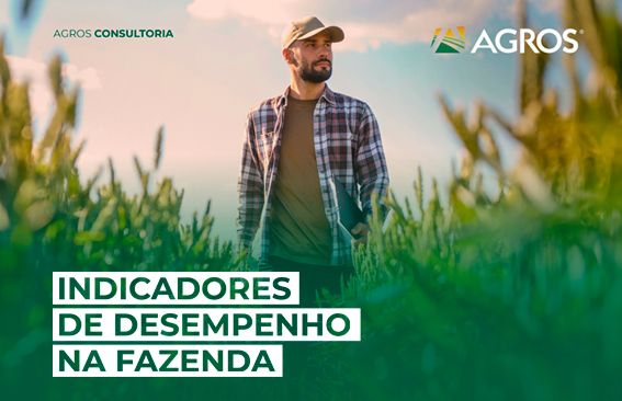 Indicadores de Desempenho na Fazenda