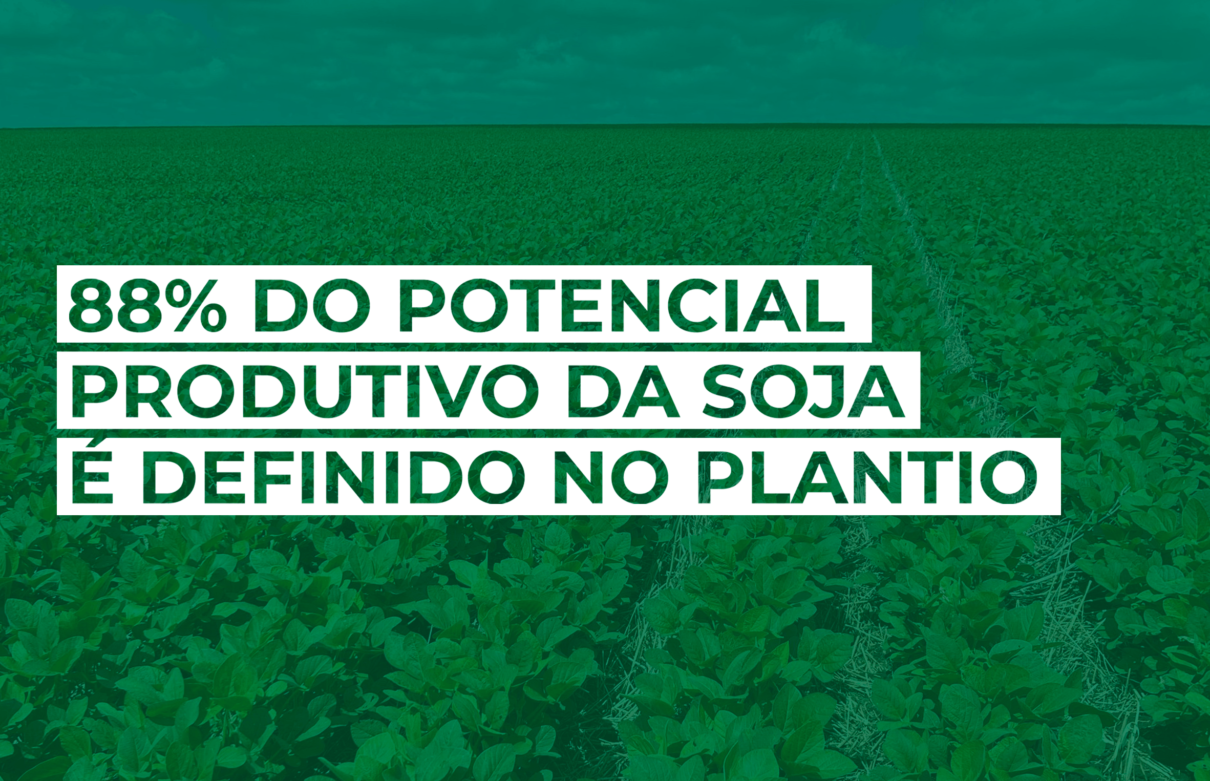 5 passos para proteger sua margem